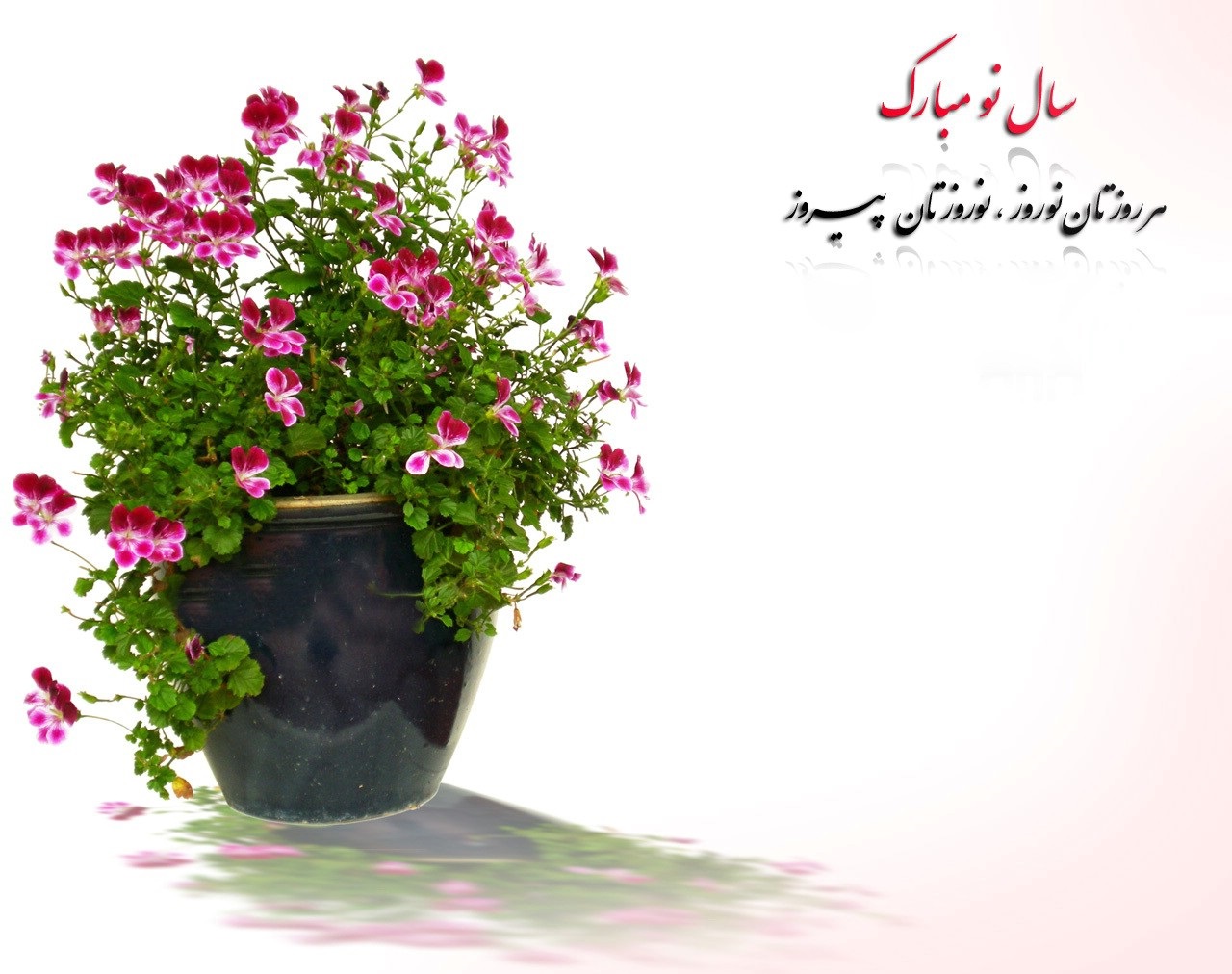 صورة مصغّرة